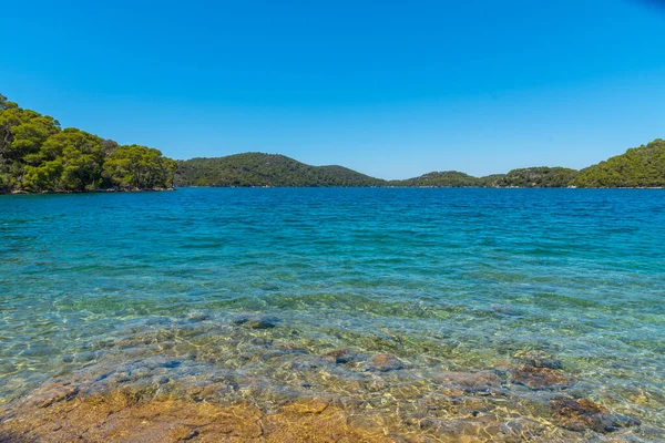 Hırvatistan 'daki Mljet ulusal parkında Veliko Jezero' nun turkuaz suyu
