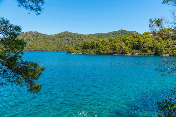 Hırvatistan 'daki Mljet ulusal parkında Veliko Jezero' nun turkuaz suyu