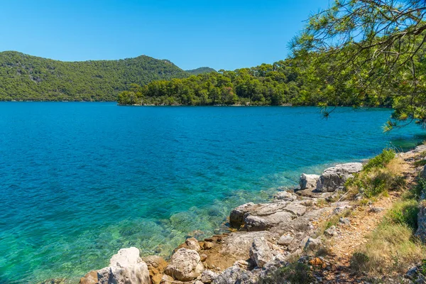 Hırvatistan 'daki Mljet ulusal parkında Veliko Jezero' nun turkuaz suyu