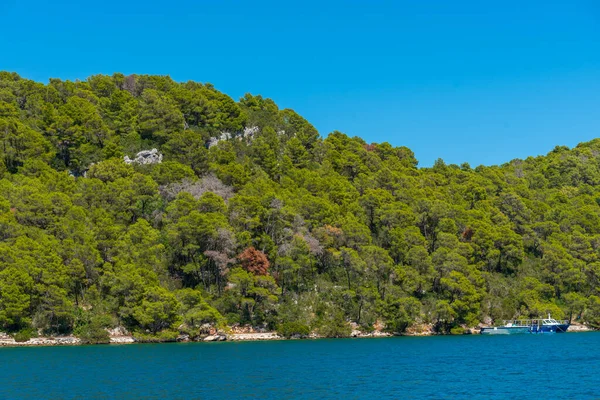 Hırvatistan 'daki Mljet ulusal parkında Veliko Jezero' nun turkuaz suyu