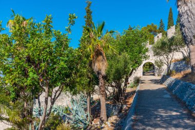 Hvar, Hırvatistan 'da Dr. Josip Avelini' nin Parkı