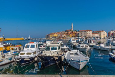 Hırvatistan 'ın Rovinj limanına demirleyen tekneler