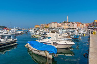 Hırvatistan 'ın Rovinj limanına demirleyen tekneler