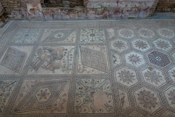 Punishment Dirce Floor Mosaics Pula Croatia — стоковое фото