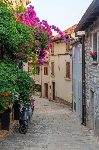 Hırvatistan 'ın Rovinj kentinde yaya caddesi manzarası