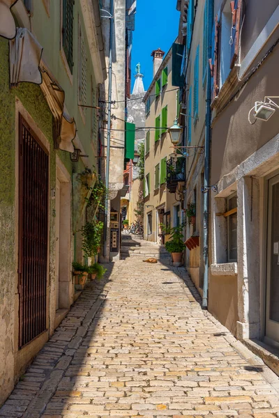 Vista Una Calle Peatonal Rovinj Croacia — Foto de Stock