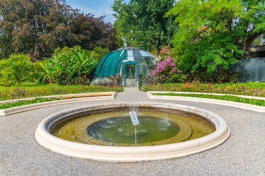 Hırvatistan 'ın Zagreb kentindeki botanik bahçesinde filizlenen bitkiler