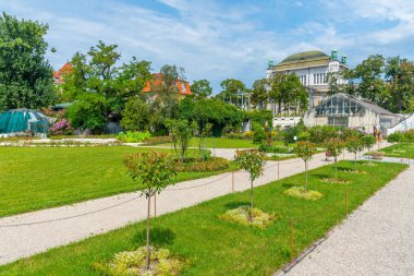 Hırvatistan 'ın Zagreb kentindeki botanik bahçesinde filizlenen bitkiler