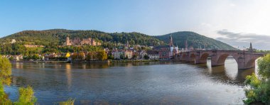 Neckar nehrinin arkasındaki Heidelberg Panoraması, Alman