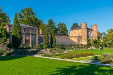 Almanya 'daki Karlsruhe Sarayı' ndaki Botanik Bahçesi