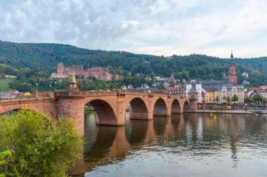 Almanya 'nın Neckar nehrinin arkasındaki Heidelberg Panoraması