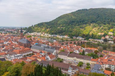 Almanya 'nın Heidelberg kentinin havadan görünüşü