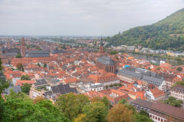 Almanya 'nın Heidelberg kentinin havadan görünüşü