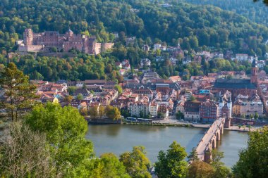 Almanya 'nın Neckar nehrinin arkasındaki Heidelberg Panoraması