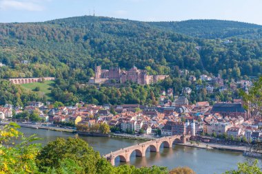 Almanya 'nın Neckar nehrinin arkasındaki Heidelberg Panoraması