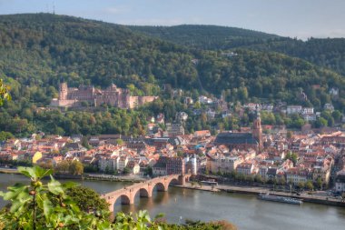 Almanya 'nın Neckar nehrinin arkasındaki Heidelberg Panoraması