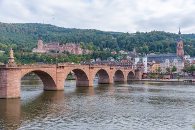 Almanya 'nın Neckar nehrinin arkasındaki Heidelberg Panoraması