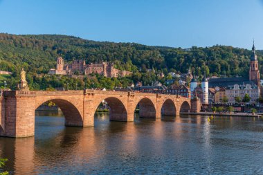 Almanya 'nın Neckar nehrinin arkasındaki Heidelberg Panoraması