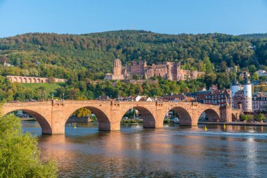 Almanya 'nın Neckar nehrinin arkasındaki Heidelberg Panoraması