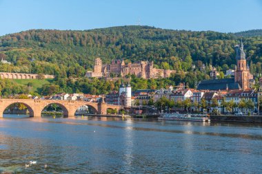 Almanya 'nın Neckar nehrinin arkasındaki Heidelberg Panoraması