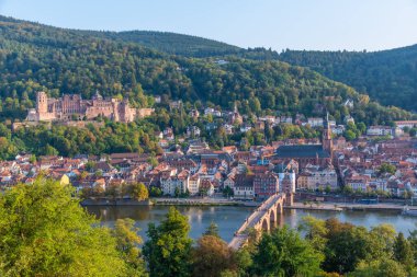 Almanya 'nın Neckar nehrinin arkasındaki Heidelberg Panoraması