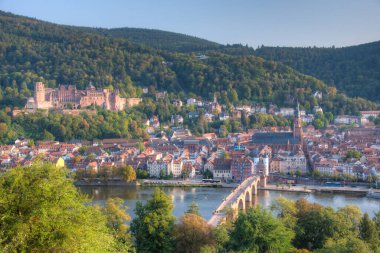 Almanya 'nın Neckar nehrinin arkasındaki Heidelberg Panoraması