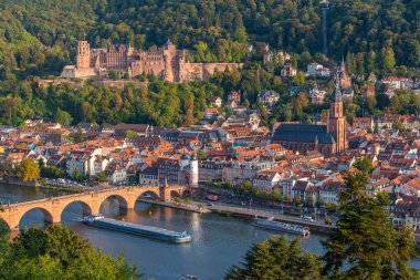 Almanya 'nın Neckar nehrinin arkasındaki Heidelberg Panoraması