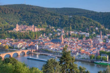 Almanya 'nın Neckar nehrinin arkasındaki Heidelberg Panoraması