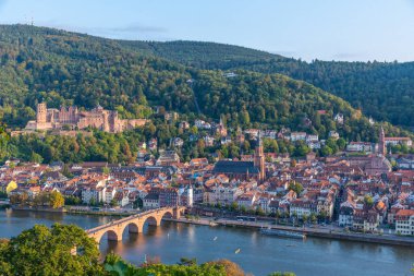 Almanya 'nın Neckar nehrinin arkasındaki Heidelberg Panoraması