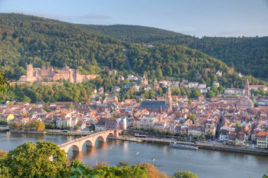 Almanya 'nın Neckar nehrinin arkasındaki Heidelberg Panoraması