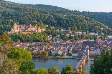 Almanya 'nın Neckar nehrinin arkasındaki Heidelberg Panoraması