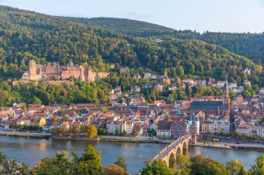Almanya 'nın Neckar nehrinin arkasındaki Heidelberg Panoraması