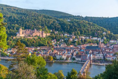 Almanya 'nın Neckar nehrinin arkasındaki Heidelberg Panoraması