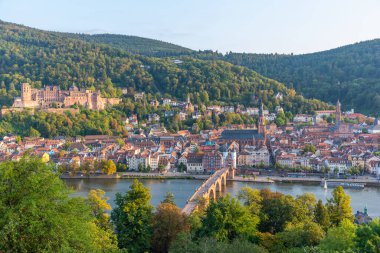 Almanya 'nın Neckar nehrinin arkasındaki Heidelberg Panoraması