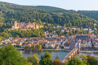 Almanya 'nın Neckar nehrinin arkasındaki Heidelberg Panoraması