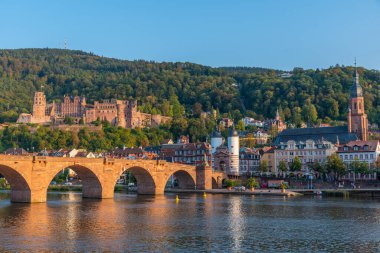 Almanya 'nın Neckar nehrinin arkasındaki Heidelberg Panoraması