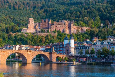 Almanya 'nın Neckar nehrinin arkasındaki Heidelberg Panoraması