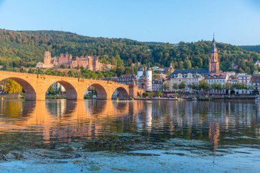 Almanya 'nın Neckar nehrinin arkasındaki Heidelberg Panoraması