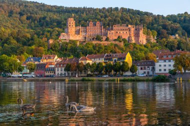 Almanya 'daki Heidelberg kalesinin manzarası