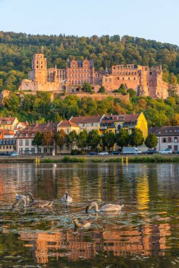 Almanya 'daki Heidelberg kalesinin manzarası