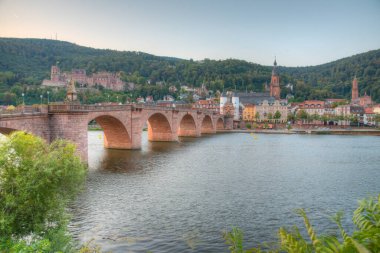 Almanya 'nın Neckar nehrinin arkasındaki Heidelberg Panoraması