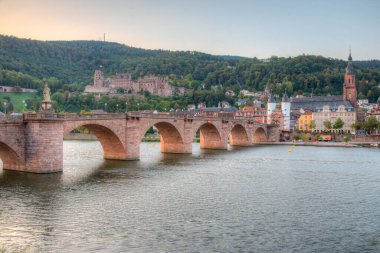 Almanya 'nın Neckar nehrinin arkasındaki Heidelberg Panoraması