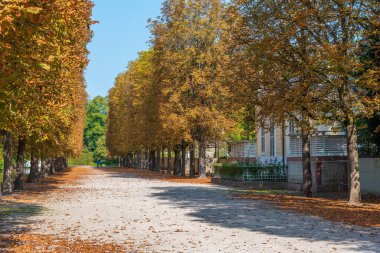 Güneşli yaz gününde Almanya 'daki Schwetzingen Sarayı' nın bahçesinde.