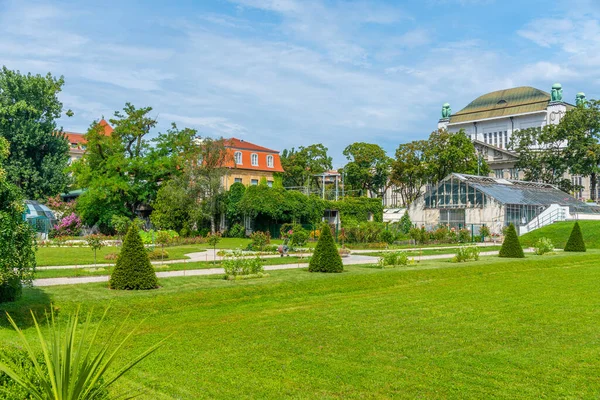 Plantes Florissantes Jardin Botanique Zagreb Croatie — Photo