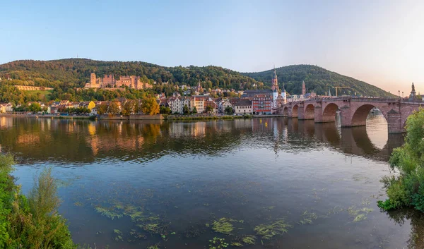 Neckar nehrinin arkasındaki Heidelberg Panoraması, Alman
