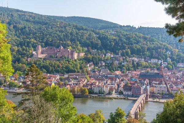 Almanya Nın Neckar Nehrinin Arkasındaki Heidelberg Panoraması — Stok fotoğraf