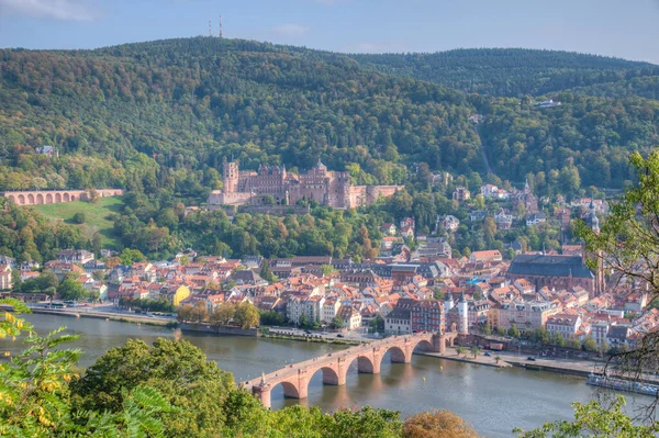 Almanya 'nın Neckar nehrinin arkasındaki Heidelberg Panoraması