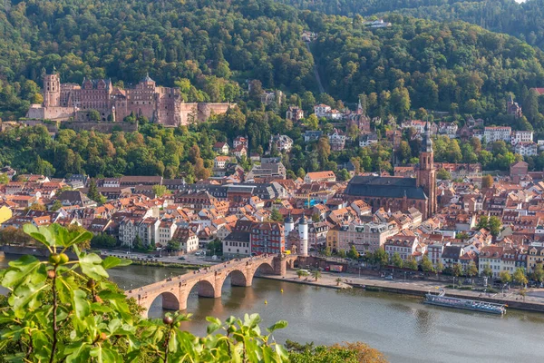 Almanya 'nın Neckar nehrinin arkasındaki Heidelberg Panoraması