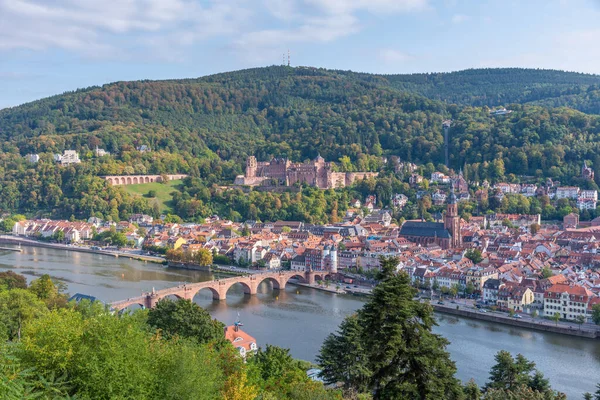 Almanya 'nın Neckar nehrinin arkasındaki Heidelberg Panoraması