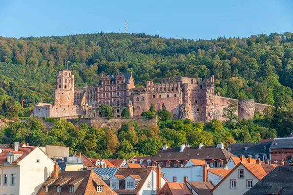 Almanya 'daki Heidelberg kalesinin manzarası